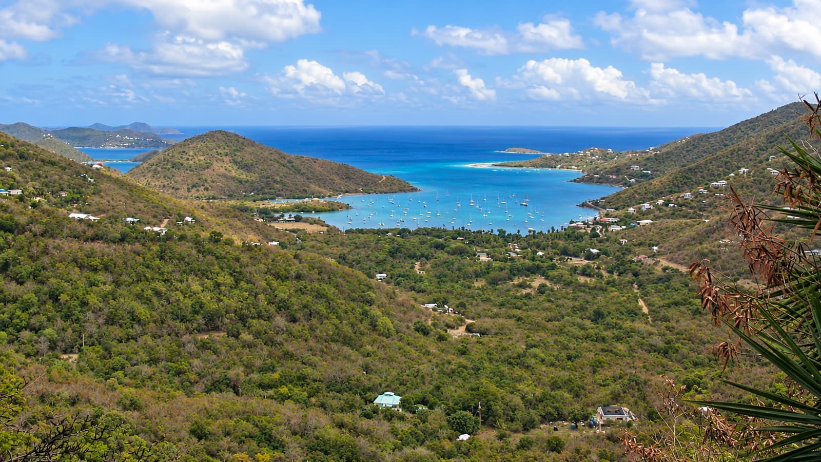 Moored boats in Coral Bay beneath dry-season hills on St. John.
