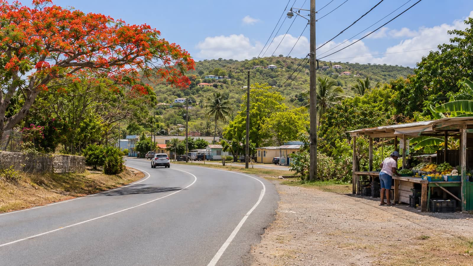 Illustration of an inland community road, produce stand and tropical hills.